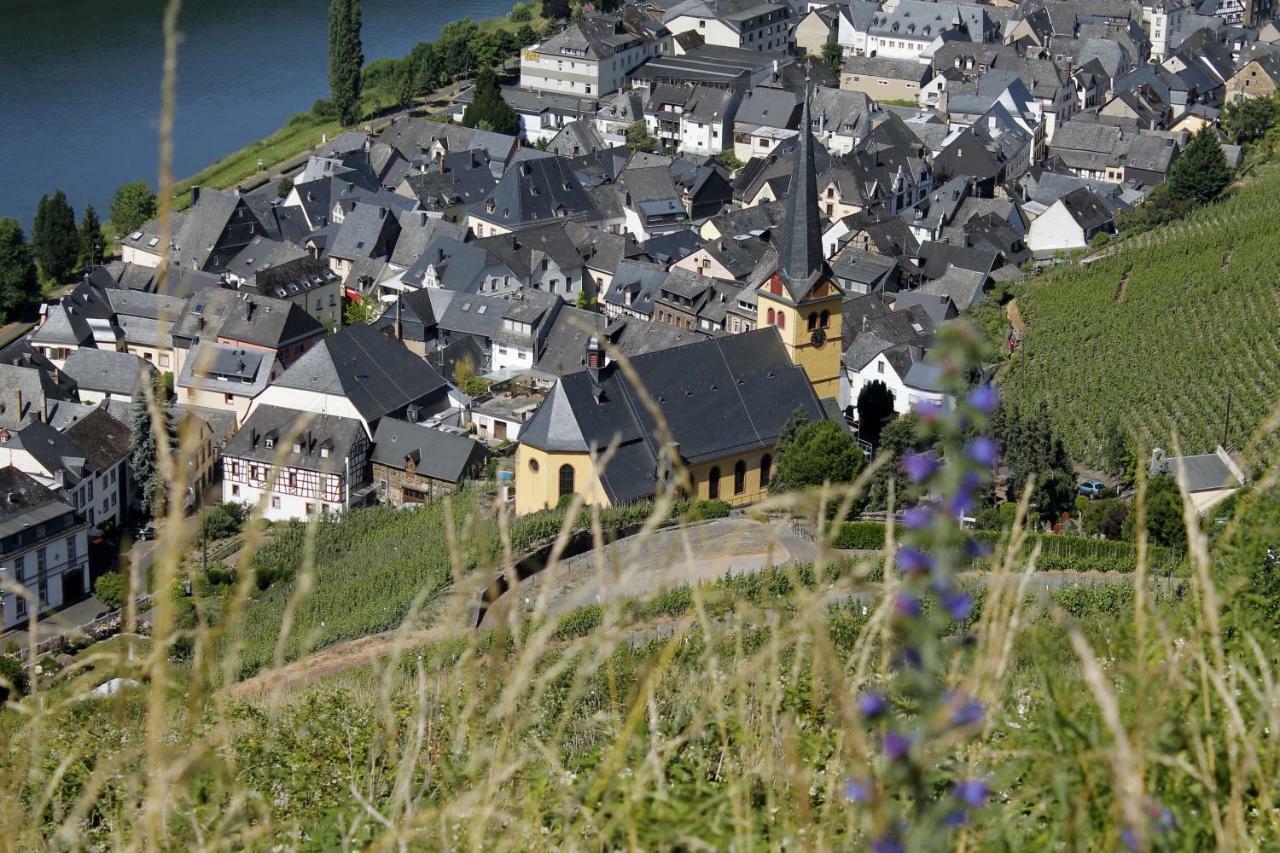 Ferienhaus Moselblick Mit Kostenfreien Oepnv-Ticket 오지그 외부 사진